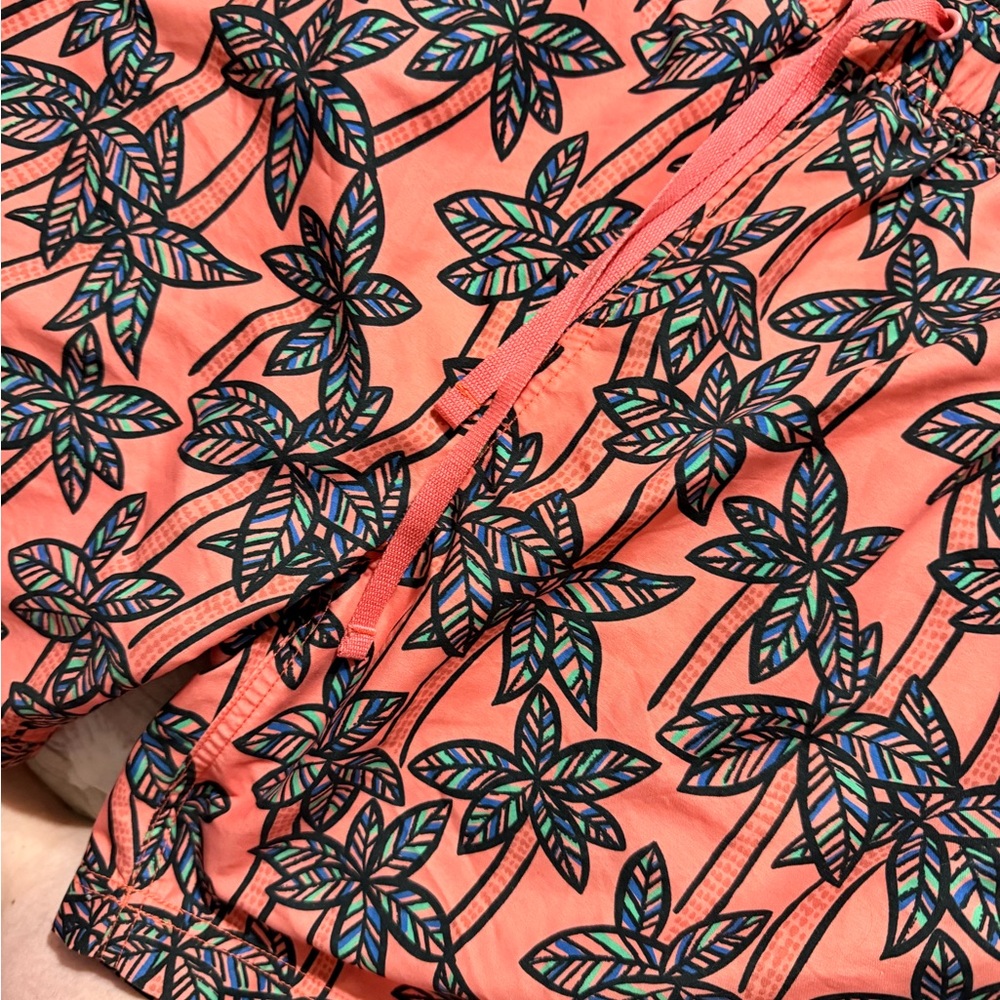 Hanna Andersson Multicolor Leaf Pattern Swim Shor… - image 1